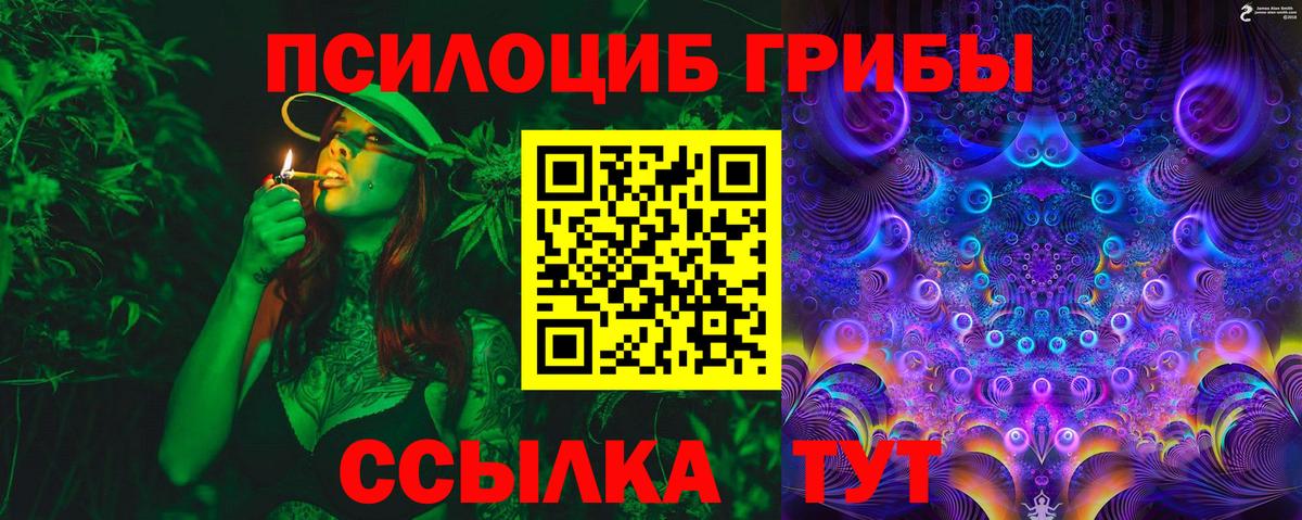 купить  цена  Псилоцибиновые грибы ЛСД  Вход с VPN  Железногорск 